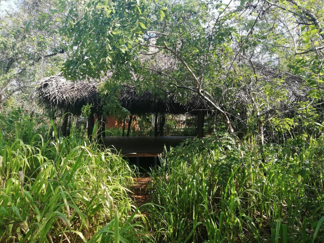Kuwera Eco Lodge Sigiriya Exterior foto
